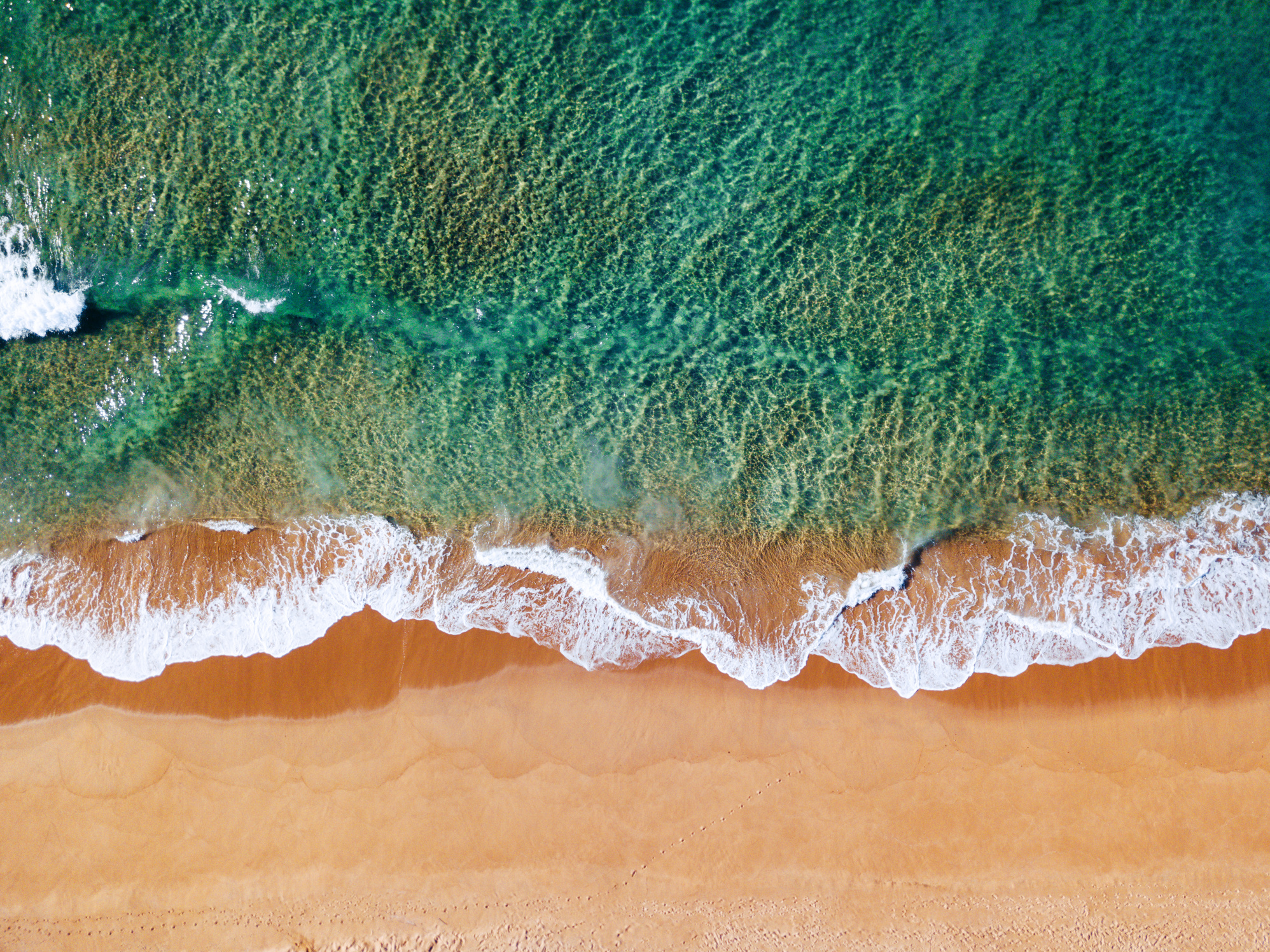 aerial view of the australian bondi beach